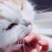 ヒメ日記 2025/05/31 17:39 投稿 もか アラカルト