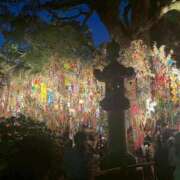 ヒメ日記 2025/07/07 10:38 投稿 優香里(ゆかり)♥極上アロマ 美魔女コレクション