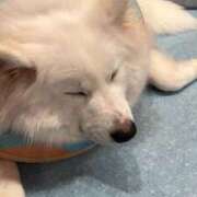 ヒメ日記 2025/10/03 10:26 投稿 ゆの Sakura Spa