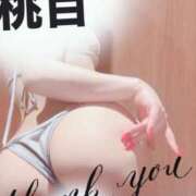 ヒメ日記 2025/07/08 12:18 投稿 桃百-もも- 淫らなオンナ性体師･･･そして曖昧なひと時(本格派オイル性感マッサージ)