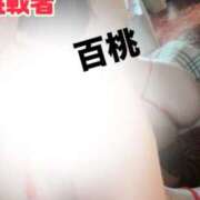 ヒメ日記 2025/08/26 18:39 投稿 桃百-もも- 淫らなオンナ性体師･･･そして曖昧なひと時(本格派オイル性感マッサージ)