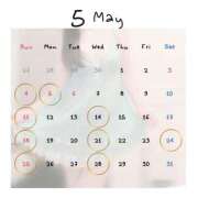 ヒメ日記 2025/05/05 15:40 投稿 あやめ 天使のゆびさき 船橋店(カサブランカグループ)