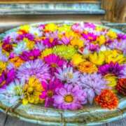 ヒメ日記 2026/03/28 13:34 投稿 あやめ 天使のゆびさき 船橋店(カサブランカグループ)