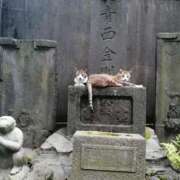 ヒメ日記 2026/10/14 16:48 投稿 あやめ 天使のゆびさき 船橋店(カサブランカグループ)