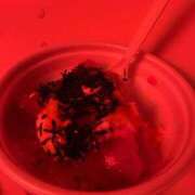 ヒメ日記 2025/09/12 17:07 投稿 らら リッチドールフェミニン