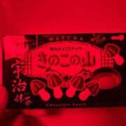 らら 感謝🙏 リッチドールフェミニン