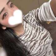 ヒメ日記 2026/04/24 06:07 投稿 らら リッチドールフェミニン