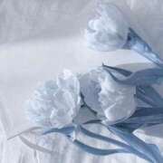 ★LOVE GOD★ ✨ Cinderella Collection(シンデレラコレクション)