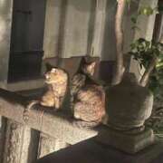 ヒメ日記 2025/10/21 01:20 投稿 一色ゆづき(いっしきゆづき) 鶯谷ナンバーワン