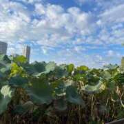 ヒメ日記 2025/10/23 18:49 投稿 一色ゆづき(いっしきゆづき) 鶯谷ナンバーワン