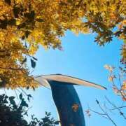 ヒメ日記 2025/11/19 22:00 投稿 一色ゆづき(いっしきゆづき) 鶯谷ナンバーワン