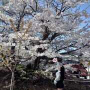 ヒメ日記 2025/05/06 06:31 投稿 はく ソープランド AQUA（アクア）