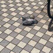 ヒメ日記 2025/06/22 10:47 投稿 篠塚みう ハプニング痴漢電車or全裸入室