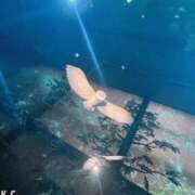 ヒメ日記 2025/11/03 09:29 投稿 さきの One More奥様　八王子店