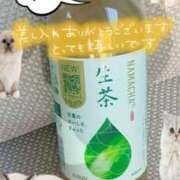 ヒメ日記 2025/05/07 16:04 投稿 ちづる 即アポ奥さん～浜松店～