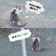 ヒメ日記 2026/01/09 21:54 投稿 ちづる 即アポ奥さん～浜松店～