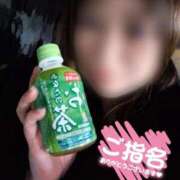 ヒメ日記 2026/02/14 01:44 投稿 ちづる 即アポ奥さん～浜松店～