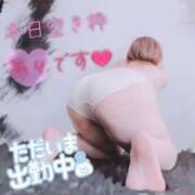 ヒメ日記 2026/03/27 10:24 投稿 ちづる 即アポ奥さん～浜松店～