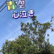 ヒメ日記 2026/05/24 16:04 投稿 ちづる 即アポ奥さん～浜松店～