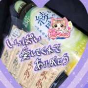 ヒメ日記 2026/07/28 01:44 投稿 ちづる 即アポ奥さん～浜松店～