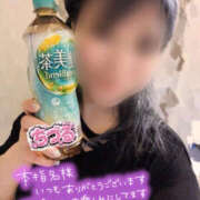 ちづる ☆リピート様☆Tさん♪ 即アポ奥さん～浜松店～