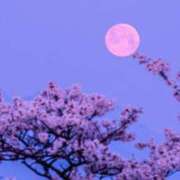 ヒメ日記 2025/04/17 21:36 投稿 あずみ 待ちナビ