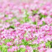 ヒメ日記 2025/04/18 13:35 投稿 あずみ 待ちナビ