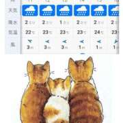 ヒメ日記 2025/06/09 12:03 投稿 あずみ 待ちナビ