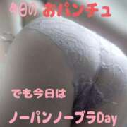 ヒメ日記 2025/06/18 14:50 投稿 あずみ 待ちナビ