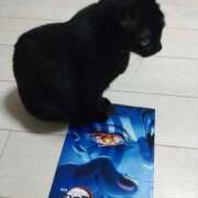 ヒメ日記 2025/09/07 23:35 投稿 あずみ 待ちナビ