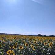 ヒメ日記 2025/09/23 18:11 投稿 あずみ 待ちナビ