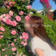 ヒメ日記 2025/04/14 14:20 投稿 Nanaha THE RICH