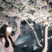 ヒメ日記 2026/05/04 14:01 投稿 Nanaha THE RICH