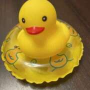 ヒメ日記 2025/04/29 17:47 投稿 なぎ 風鈴（ふうりん）