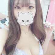 ヒメ日記 2025/04/17 14:30 投稿 のえる DOLCE