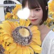 ヒメ日記 2025/12/11 12:35 投稿 きら 舐めたくてグループ～君とサプライズ学園～越谷校