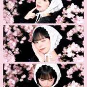 ヒメ日記 2026/03/20 10:05 投稿 きら 舐めたくてグループ～君とサプライズ学園～越谷校