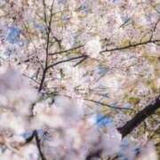 ヒメ日記 2025/04/14 17:19 投稿 せな 熟女デリヘル倶楽部