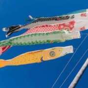 ヒメ日記 2025/05/05 18:16 投稿 せな 熟女デリヘル倶楽部