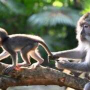 ヒメ日記 2025/05/14 14:41 投稿 せな 熟女デリヘル倶楽部