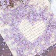 ヒメ日記 2025/05/27 09:38 投稿 せな 熟女デリヘル倶楽部