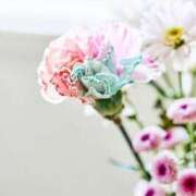 ヒメ日記 2025/06/03 09:17 投稿 せな 熟女デリヘル倶楽部