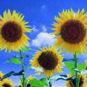 ヒメ日記 2025/06/30 14:25 投稿 せな 熟女デリヘル倶楽部