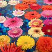 ヒメ日記 2026/04/20 21:24 投稿 せな 熟女デリヘル倶楽部