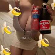 ヒメ日記 2025/05/03 18:21 投稿 ミント アメリカンクリスタル