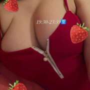 ヒメ日記 2025/05/05 10:44 投稿 ミント アメリカンクリスタル