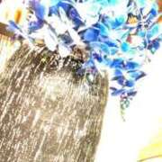 ヒメ日記 2025/05/11 18:53 投稿 ひな ノーハンドの人妻　上野店