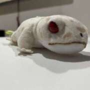 ヒメ日記 2025/09/19 09:19 投稿 みづき 秋葉原 添い寝女子