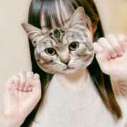 ヒメ日記 2025/12/09 22:09 投稿 みづき 秋葉原 添い寝女子