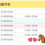 みづき 明日からいるよ🐴 秋葉原 添い寝女子